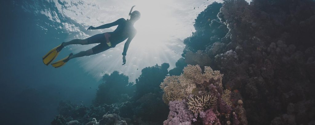 Toxic Traits in a Financial Advisor to Avoid